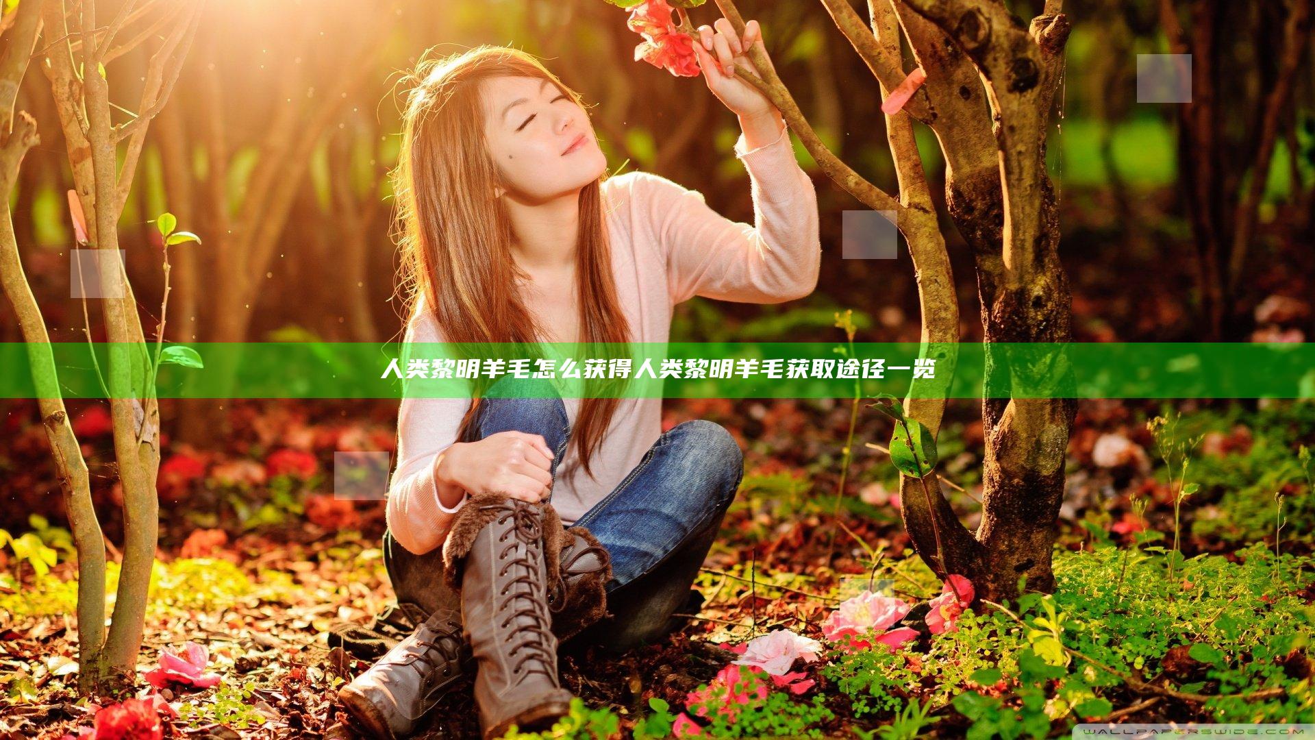 人类黎明羊毛怎么获得 人类黎明羊毛获取途径一览