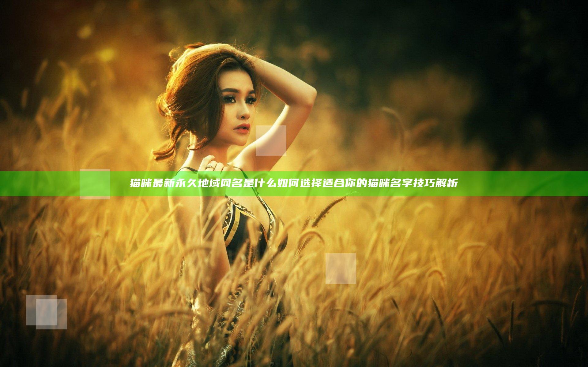 猫咪最新永久地域网名是什么 如何选择适合你的猫咪名字技巧解析