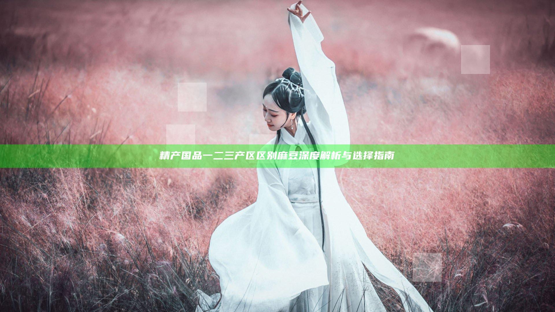 精产国品一二三产区区别麻豆深度解析与选择指南