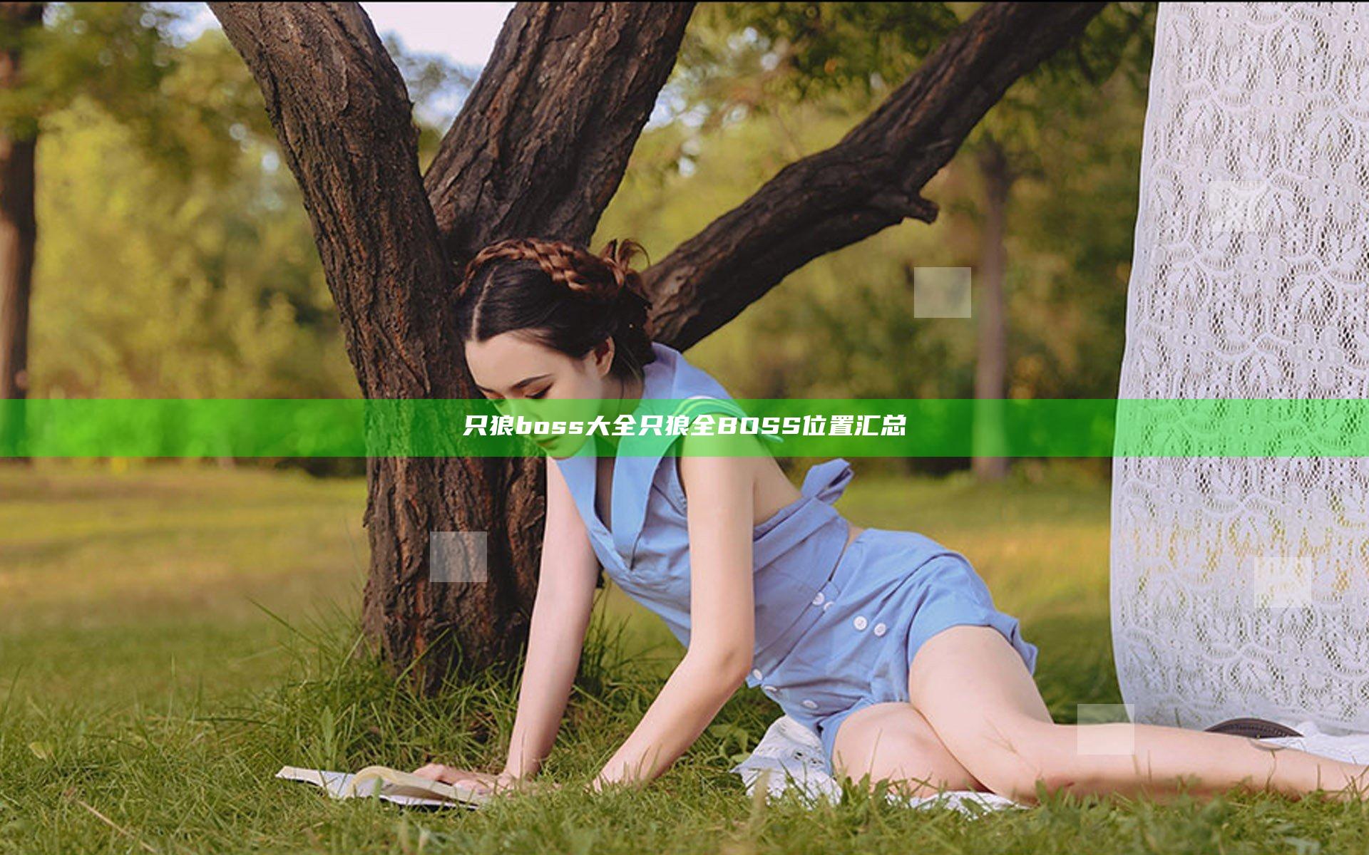 只狼boss大全 只狼全BOSS位置汇总