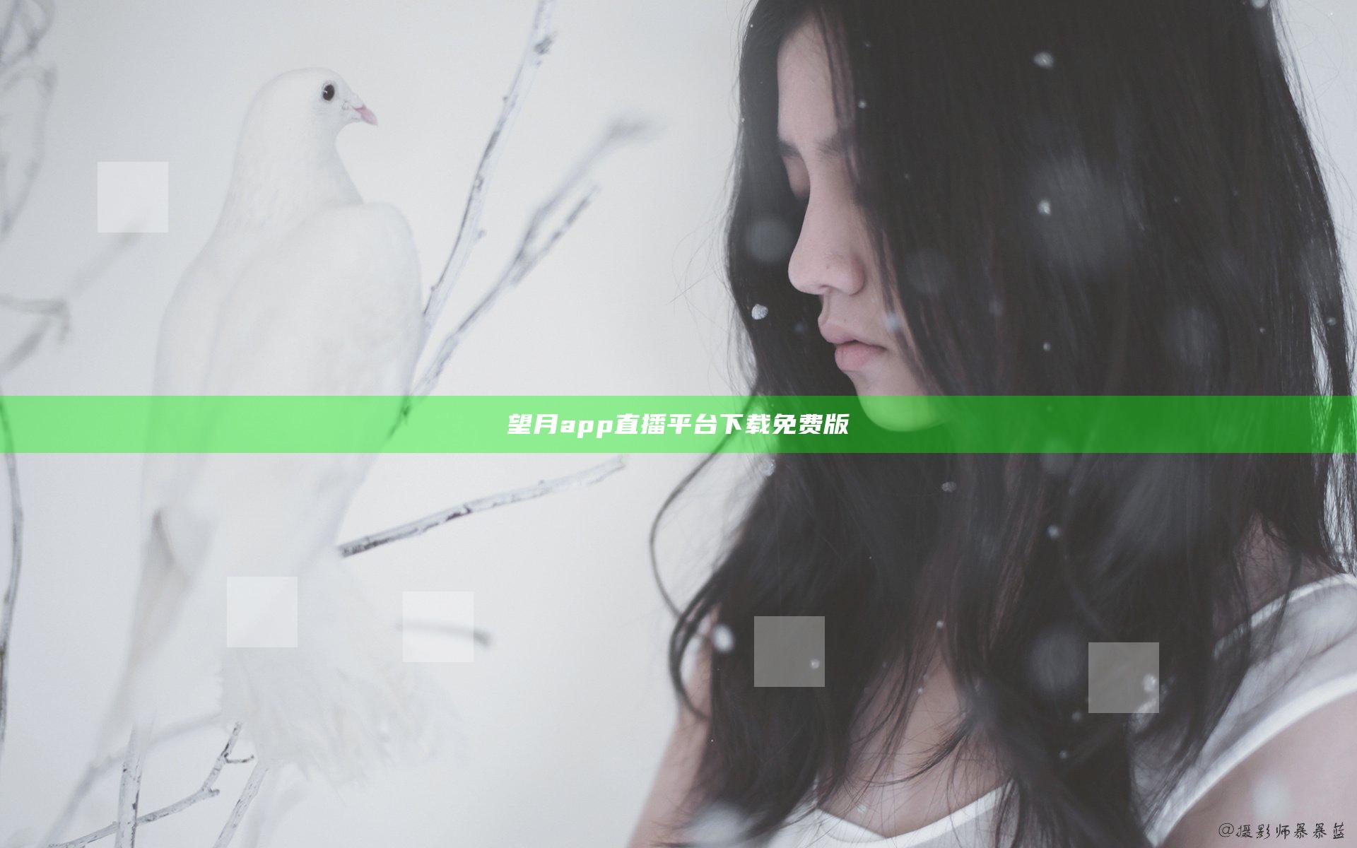 望月app直播平台下载免费版