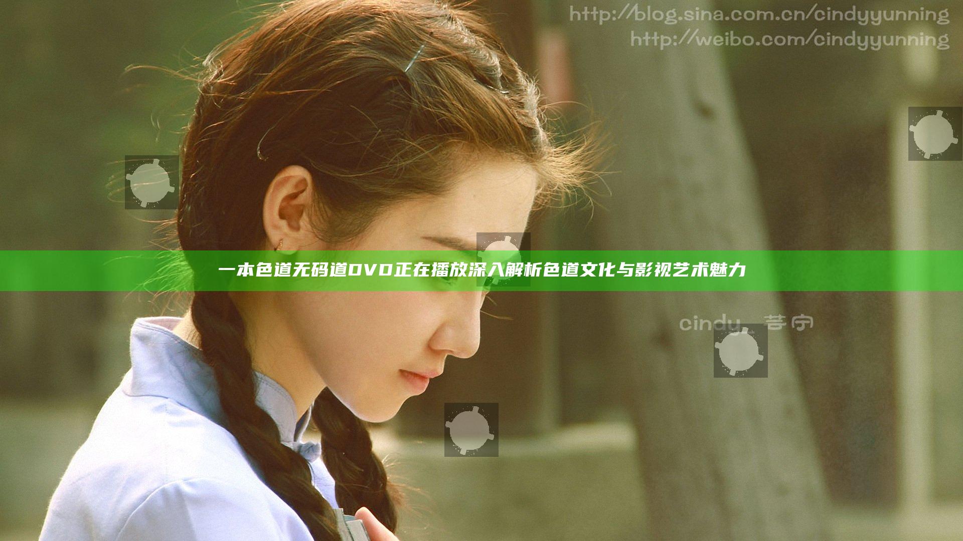 一本色道无码道DVD正在播放 深入解析色道文化与影视艺术魅力